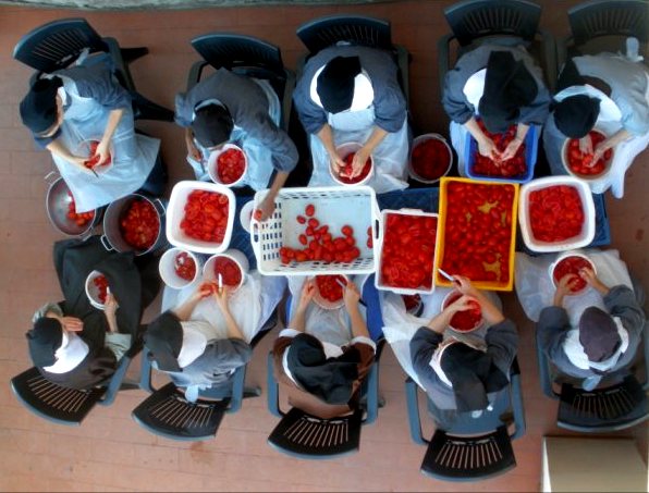 Tomaten
