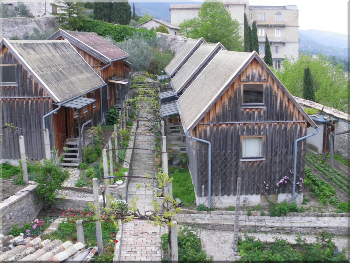 Garten vorher