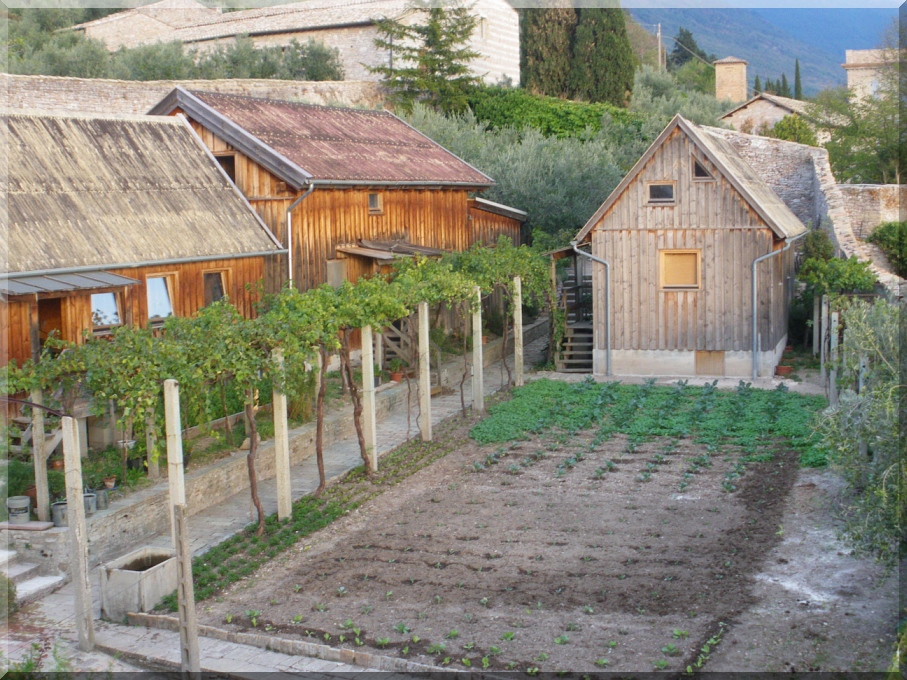 Garten nachher